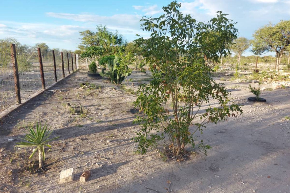 Prime Farm with Business Opportunities - For Sale - Photo 2