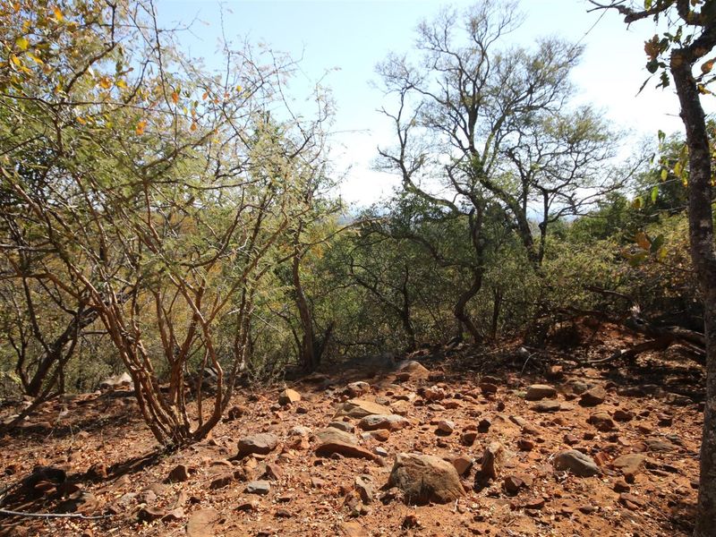 A natural, undeveloped residential plot featuring native trees and rocky terrain, offering a peaceful and rustic landscape setting.
