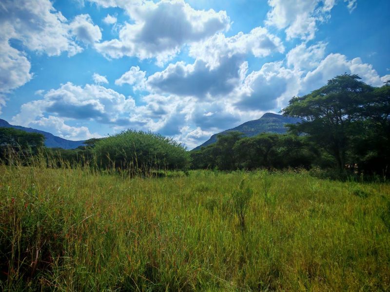 Vacant Stand For Sale - Photo 10