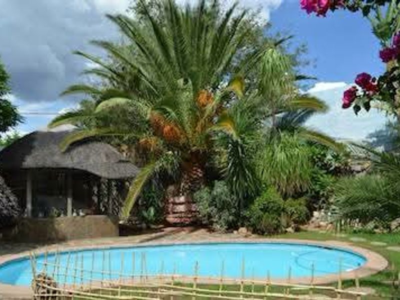 A tranquil outdoor pool area featuring a swimming pool, a thatched gazebo, and lush tropical landscaping with mature palm trees.