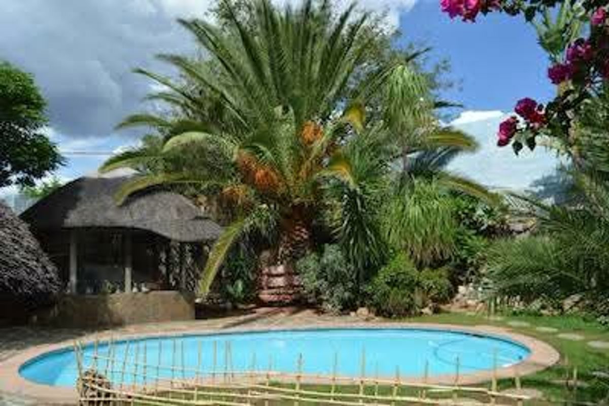 A tranquil outdoor pool area featuring a swimming pool, a thatched gazebo, and lush tropical landscaping with mature palm trees.