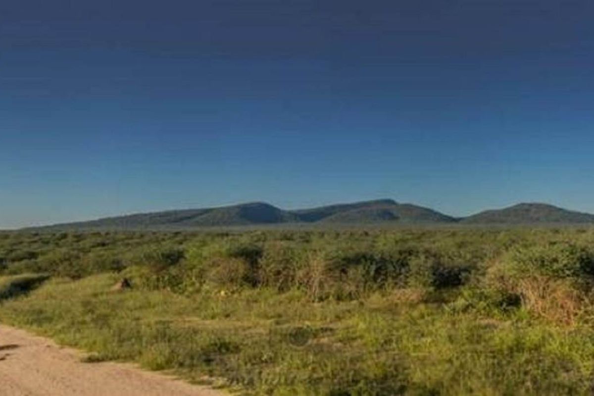 20HA  Plots for Sale - Otjiwarongo - Photo 4