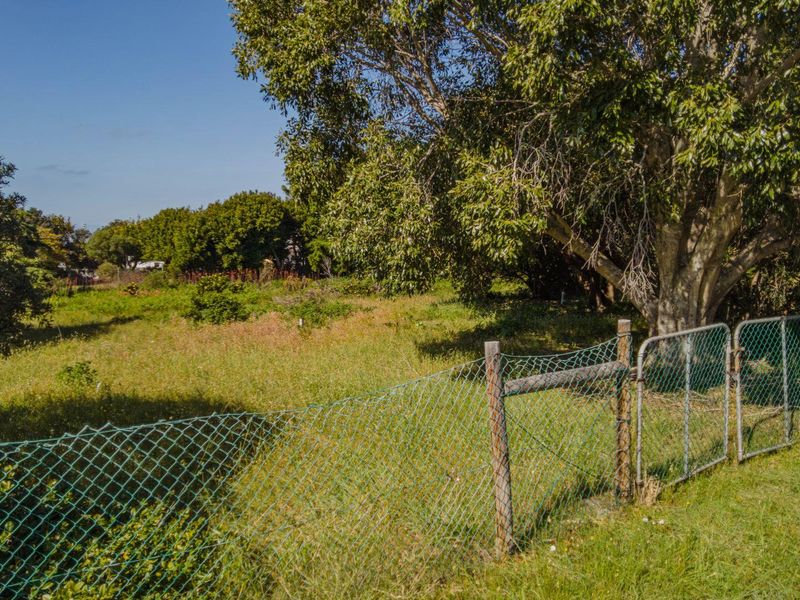 Mountain Avenue 977 sqm Vacant Stand in Kleinmond - Photo 4
