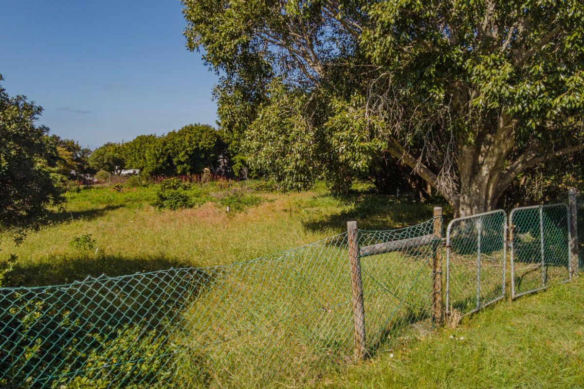 Mountain Avenue 977 sqm Vacant Stand in Kleinmond - Photo 4