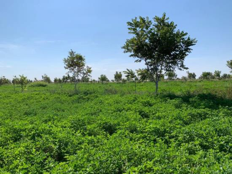 CATTLE FARM FOR SALE IN OTJOZONDJUPA REGION - Photo 3