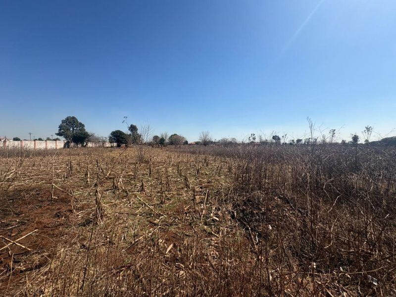 A wide-angle view of a vacant residential plot featuring dry vegetation and a perimeter wall in the background.