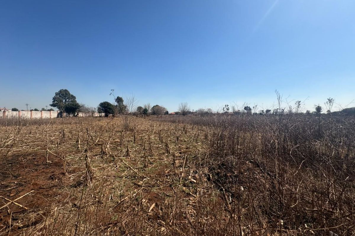 A wide-angle view of a vacant residential plot featuring dry vegetation and a perimeter wall in the background.