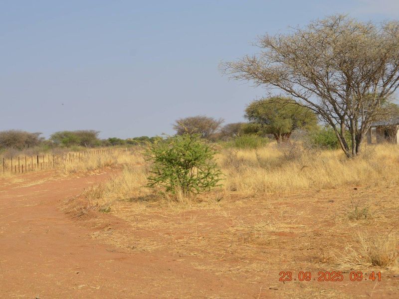 BIG PLOTS AHEAD & UP FOR SALE !! - Photo 6