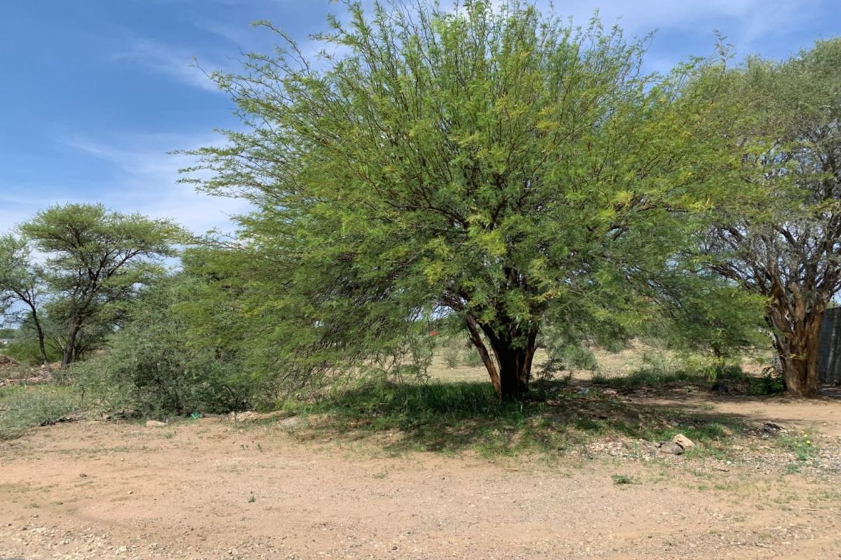 🏡 "Your Dream Starts Here! 🏞️" - Photo 2