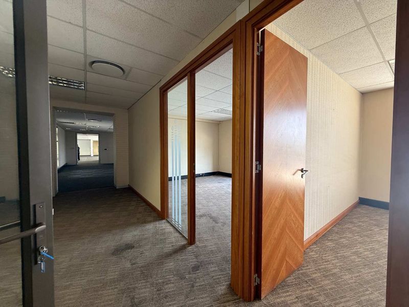 Empty office space featuring a glass partition, timber door, suspended ceiling with recessed lighting, and carpeted flooring throughout.