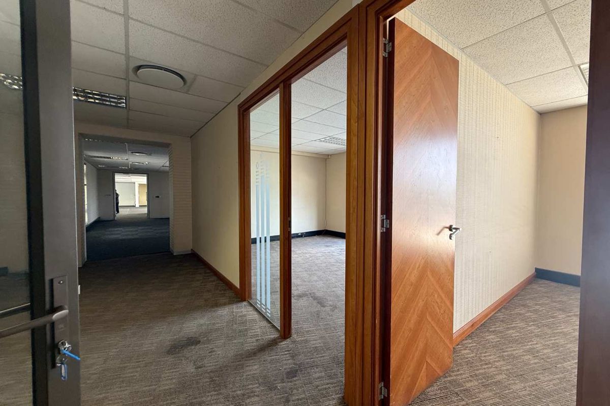 Empty office space featuring a glass partition, timber door, suspended ceiling with recessed lighting, and carpeted flooring throughout.