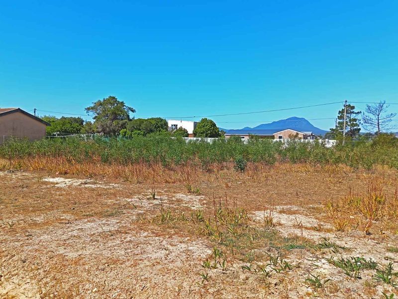 Great Property -Going for a Song - Photo 3