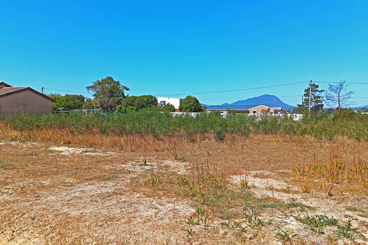 Great Property -Going for a Song - Photo 3