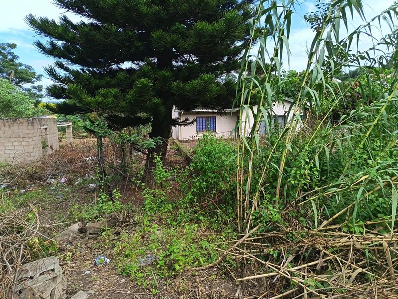 A house that needs a tender loving care. A TLC House Awaits for you! - Photo 4