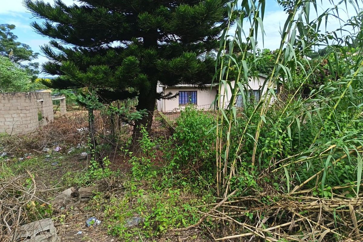 A house that needs a tender loving care. A TLC House Awaits for you! - Photo 4