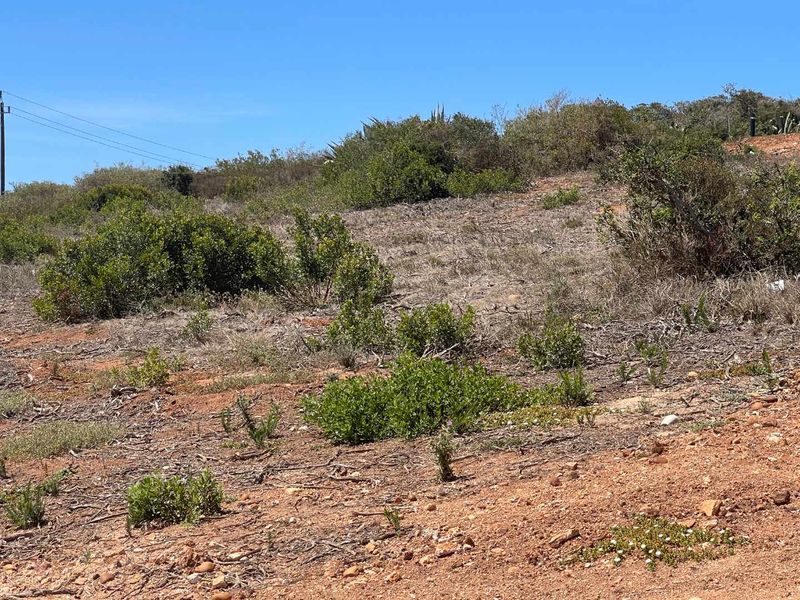 766m2 Vacant Stand For Sale in Hartland Lifestyle Estate - Exclusive Opportunity - Photo 3