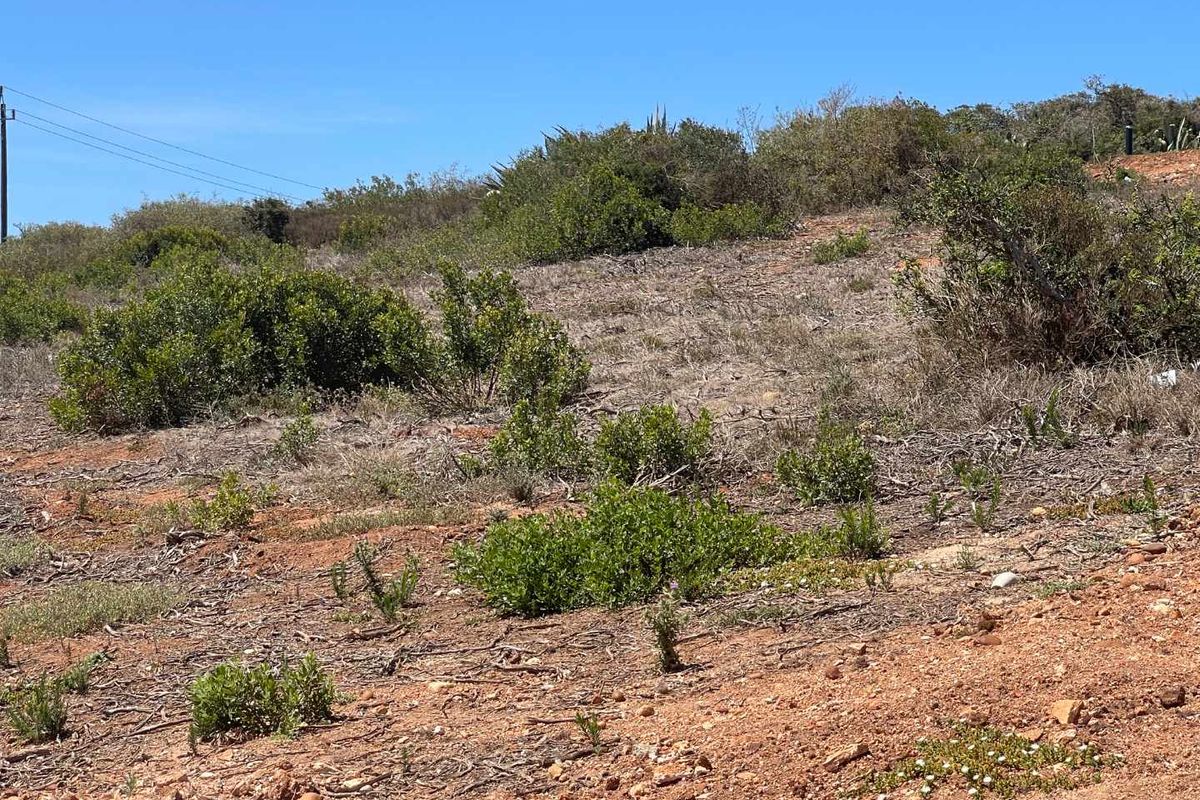 766m2 Vacant Stand For Sale in Hartland Lifestyle Estate - Exclusive Opportunity - Photo 3