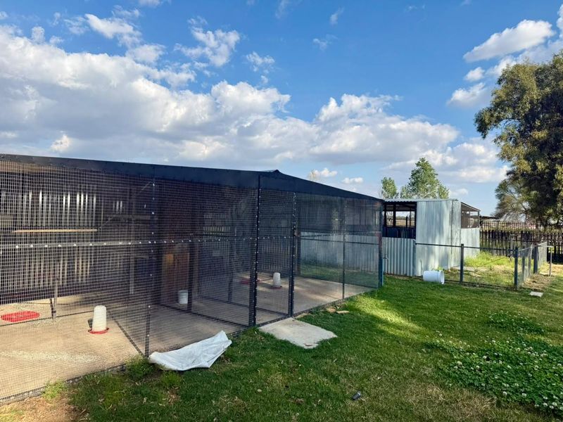 A functional outdoor utility enclosure featuring wire mesh fencing, metal roofing, and a concrete base, suitable for livestock or storage purposes.