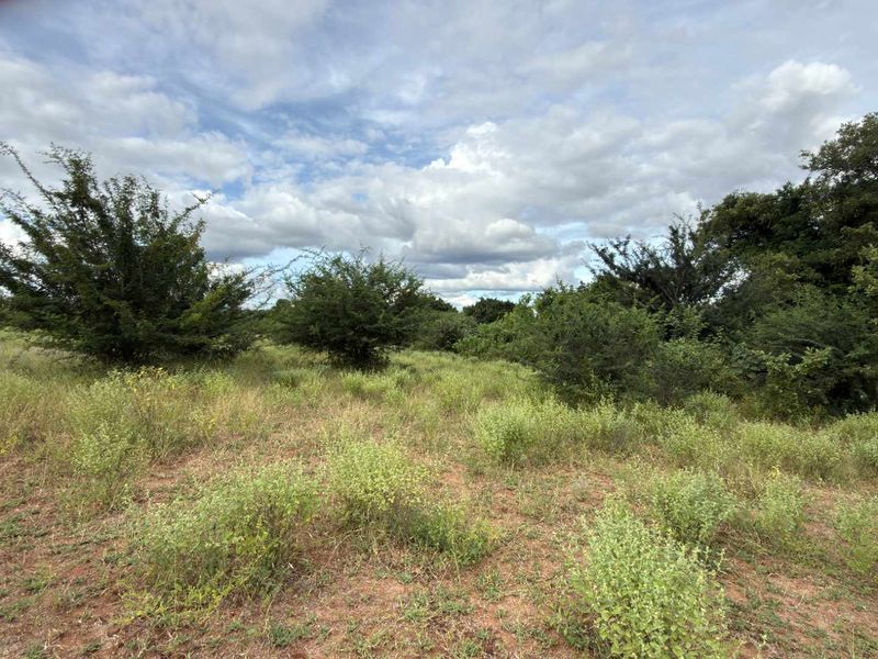 Rare vacant riverside stand in Elephant Rock Eco Estate - Photo 7