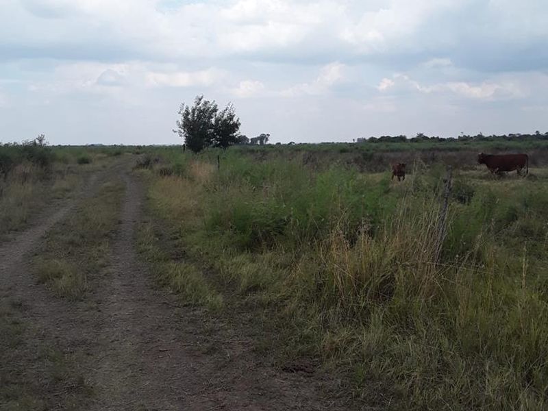 "Farm, Live, Thrive on 9.6 Hectares of Potential VACANT LAND IN KOPJES SETTLEMENT!!! - Photo 5