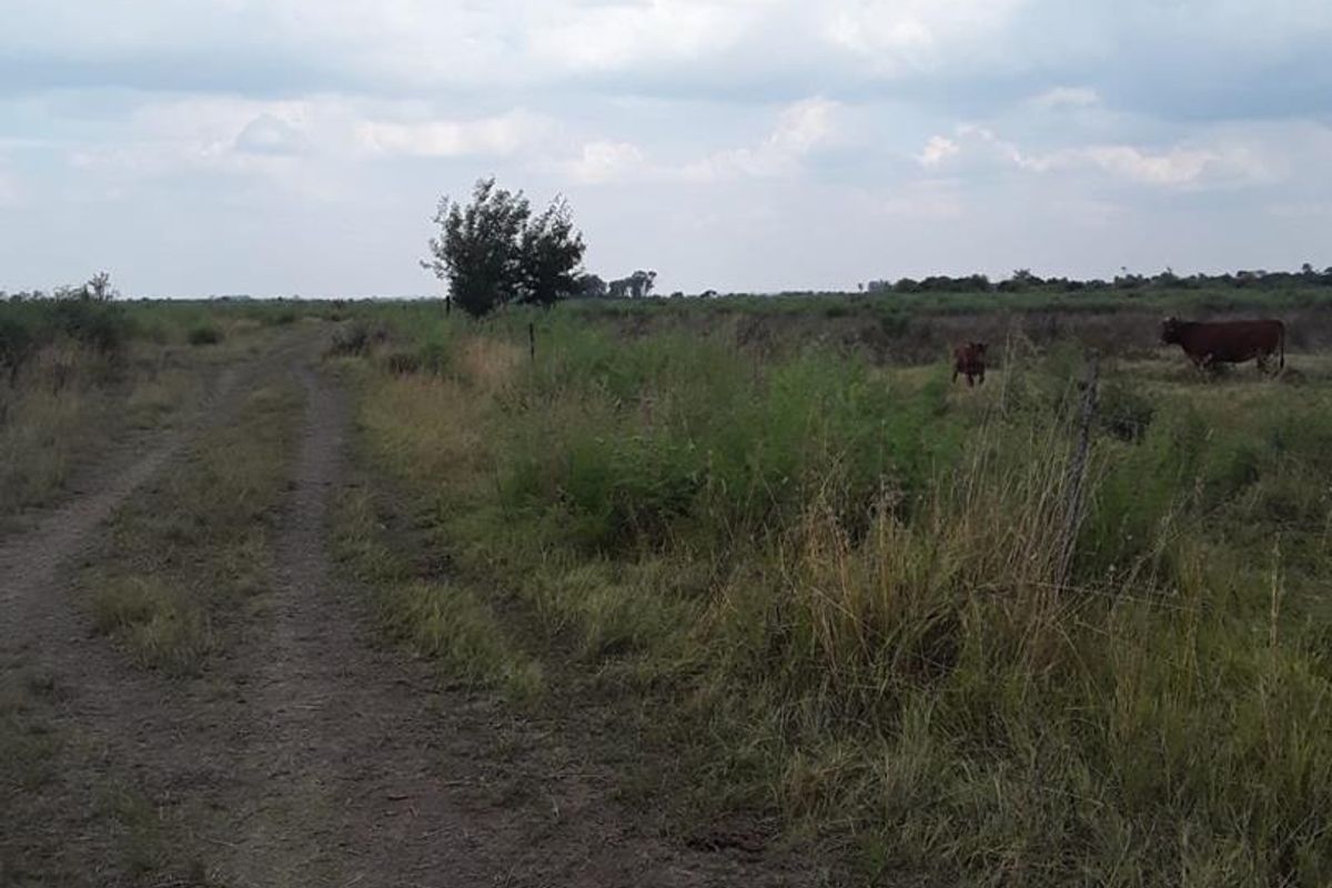 "Farm, Live, Thrive on 9.6 Hectares of Potential VACANT LAND IN KOPJES SETTLEMENT!!! - Photo 5