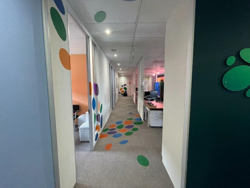 A brightly decorated office hallway featuring carpeted flooring, recessed downlighting, and glass partition walls leading into adjacent workspaces.
