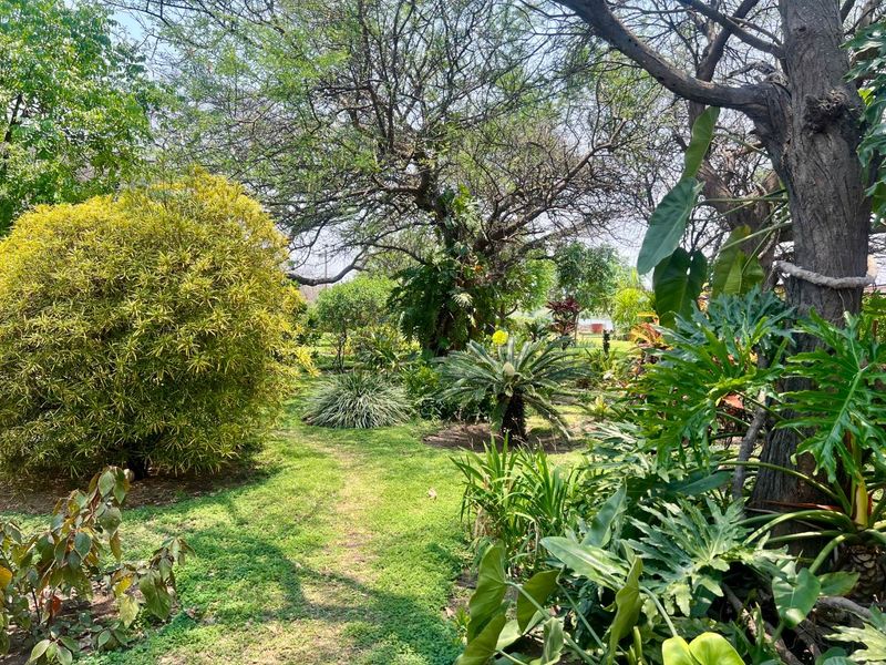 A lush, well-established garden featuring mature trees, diverse shrubbery, and a natural lawn area, providing a serene outdoor setting.