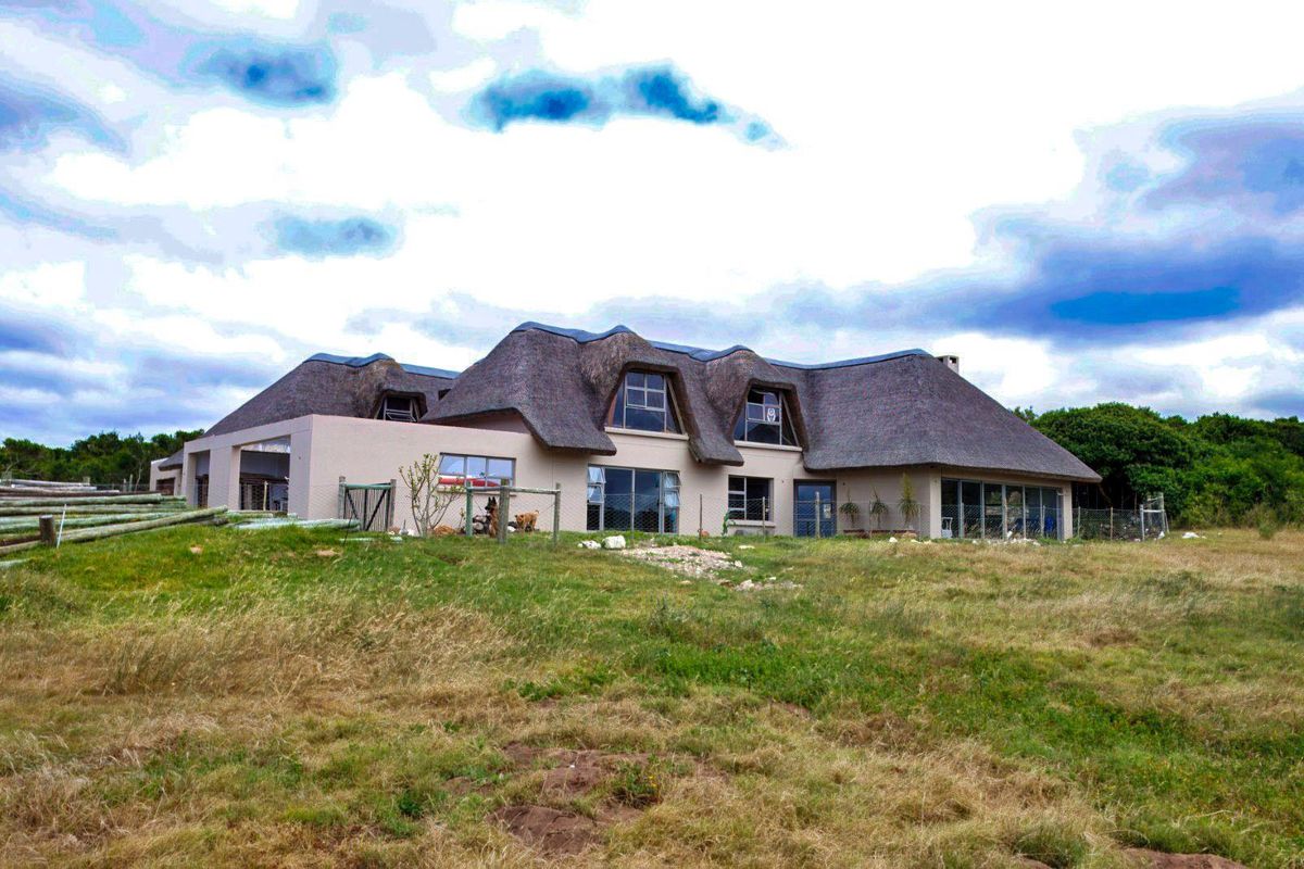 A rear view of a large thatched-roof residence set on a spacious, undeveloped plot of land.