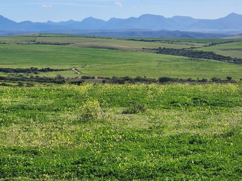 Expansive view of rolling green farmland and pastures with a scenic mountain range in the background.