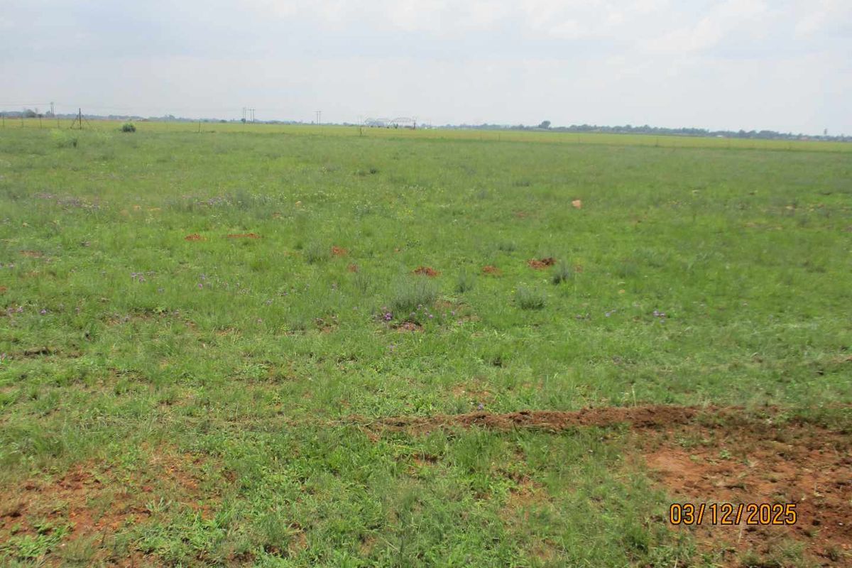 Enjoy the peace and tranquility of Henley on Klip - Photo 3