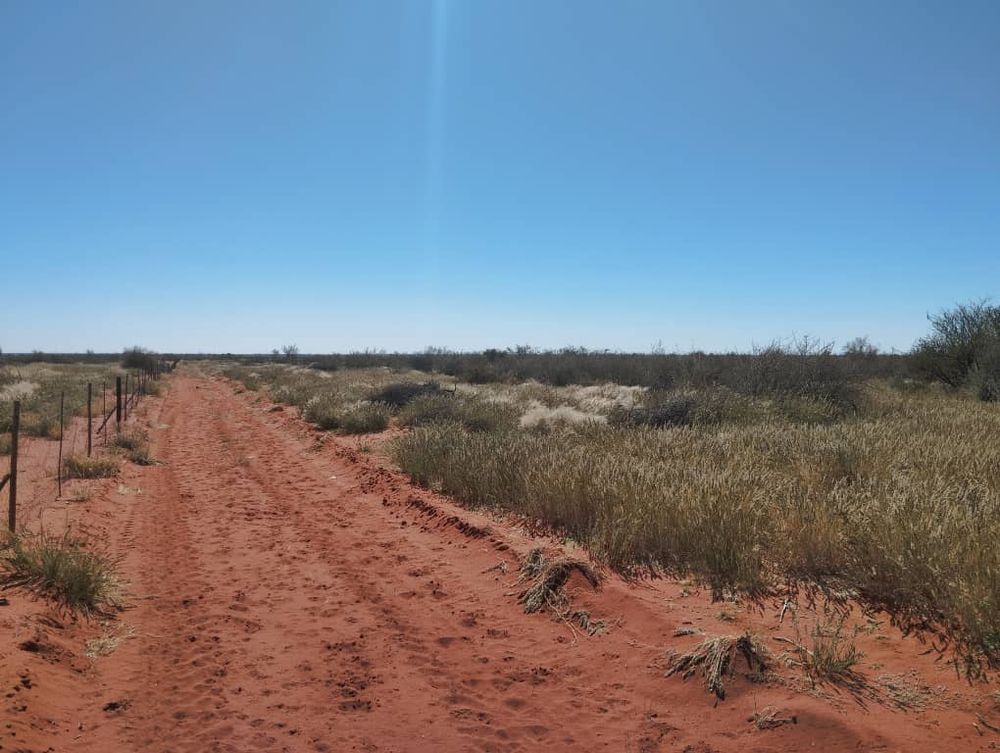 overview of farm land