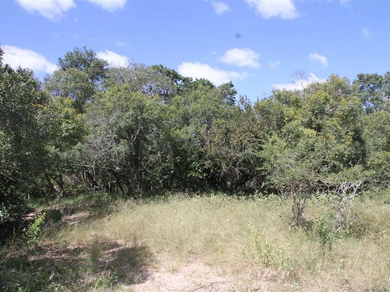 Vacant stand for Sale - Photo 4