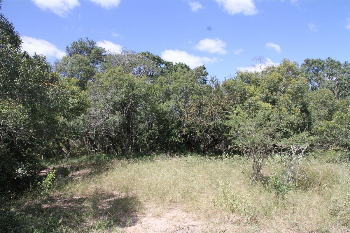 Vacant stand for Sale - Photo 4