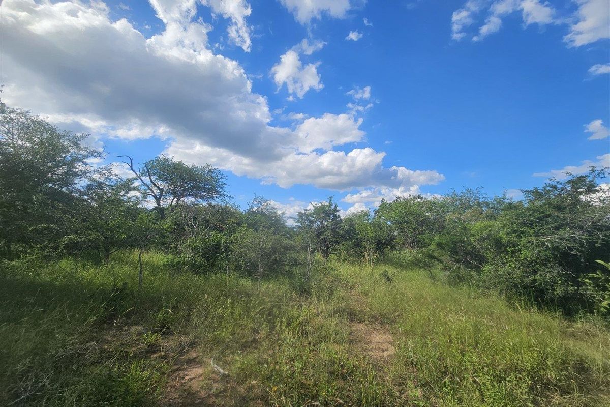 Riverfront stand on Moditlo Wildlife Estate - Photo 4