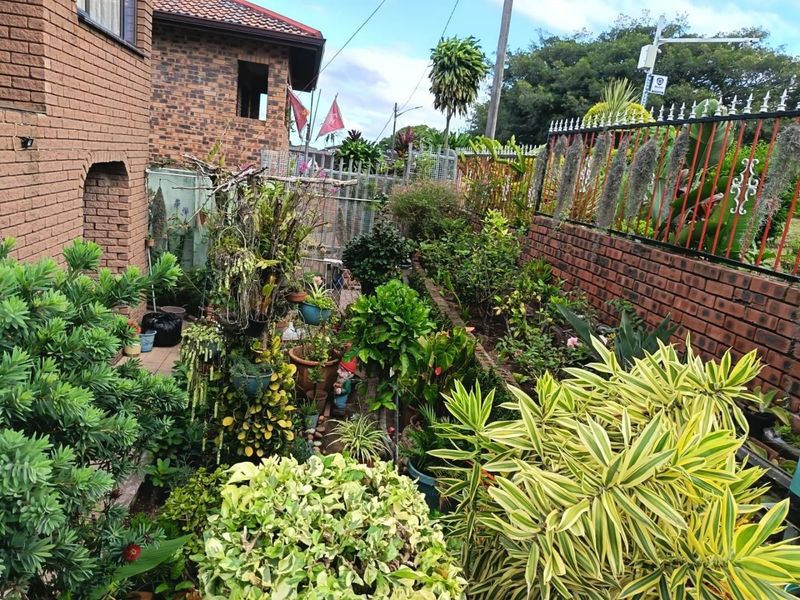 Charming Family Home in Shallcross with Lush Garden &amp; Ample Parking - Photo 5