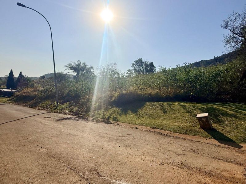 A street-level view of the vacant residential land, featuring a paved road, street lighting, and a grass verge bordering the property.