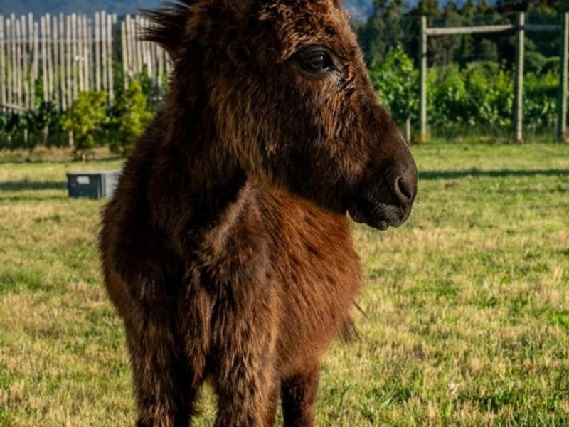 LEO Sky Farm - Photo 6