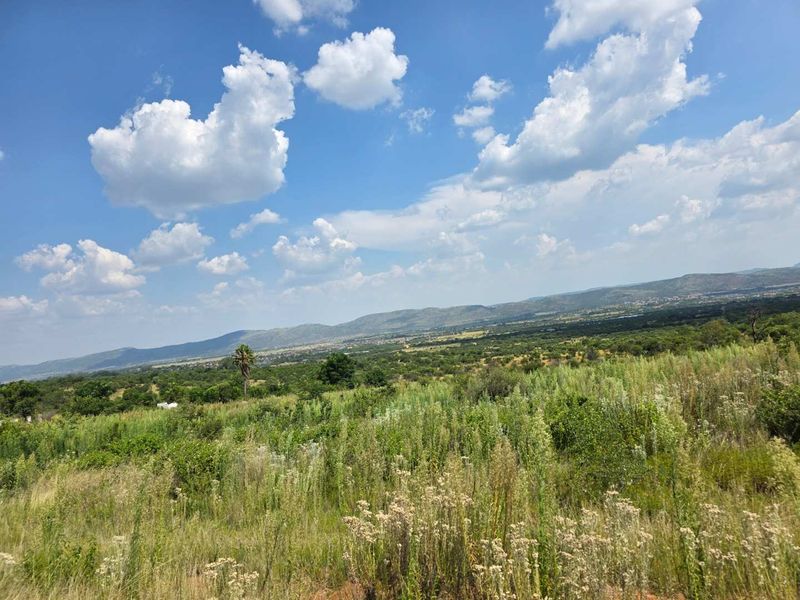 Flooded with natural light and views - Photo 3