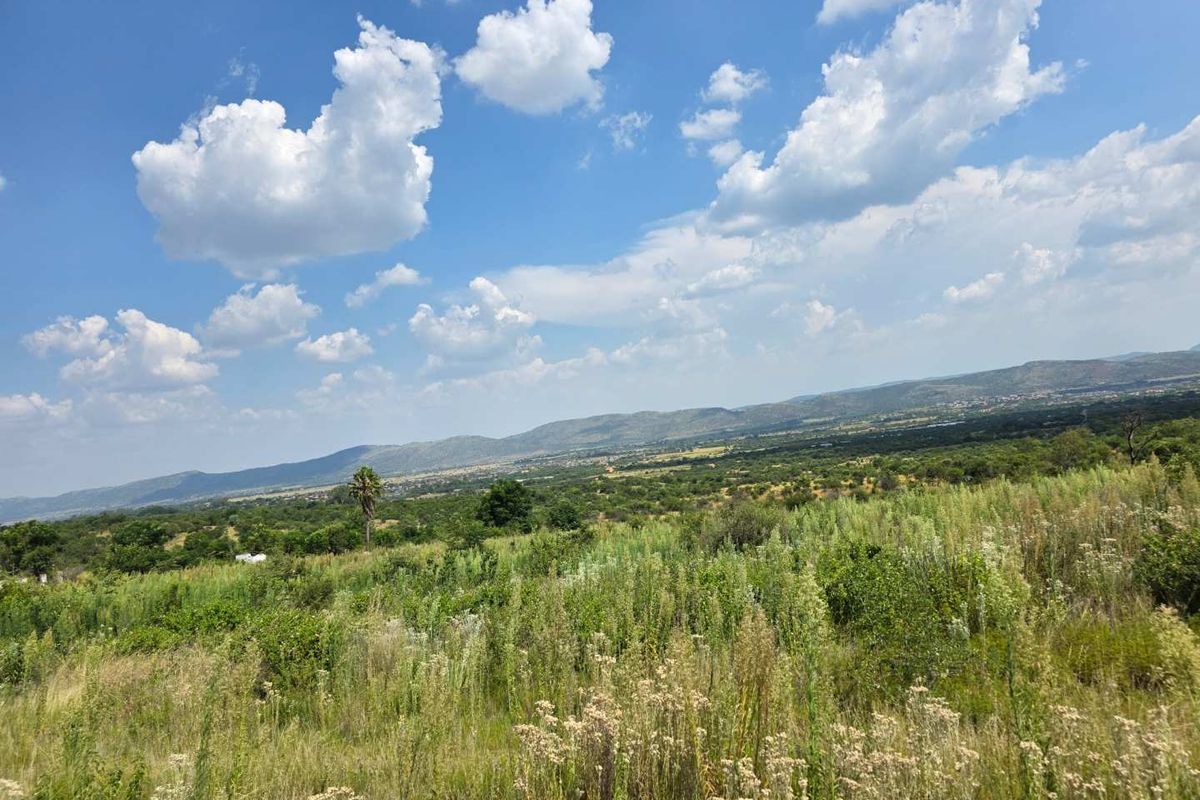 Flooded with natural light and views - Photo 3