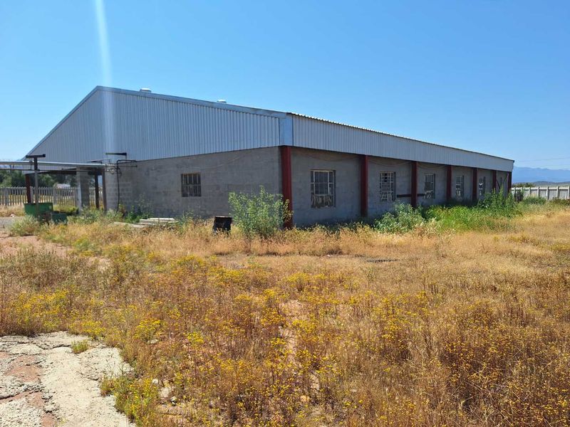 WHOPPERTUNITY ! - Photo 10