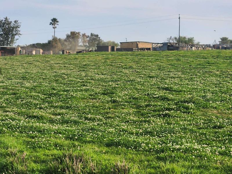 A wide view of the farm property featuring expansive green pasture land with various agricultural outbuildings visible in the distance.