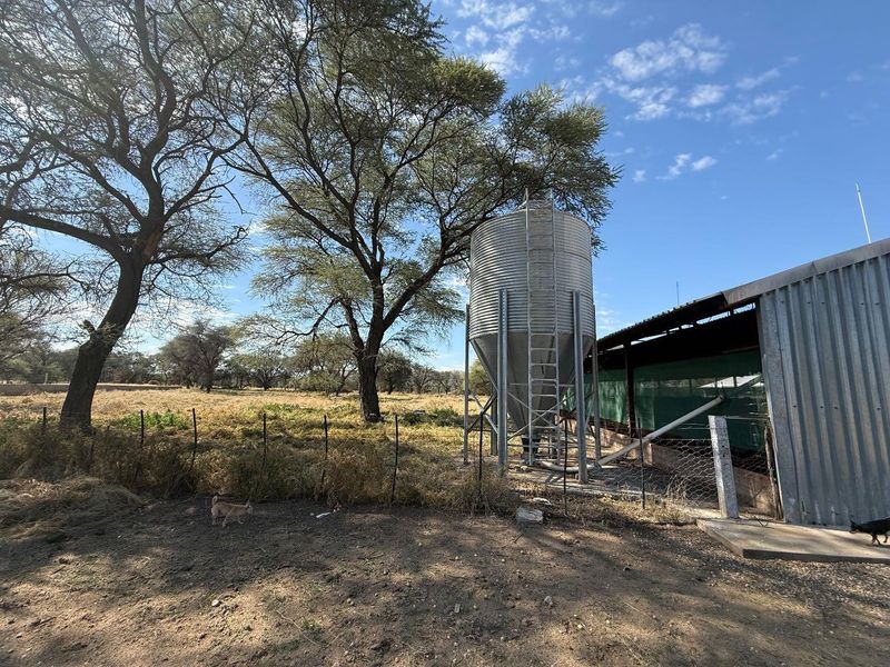 A farm for sales near Okahandja 📍 - Photo 6