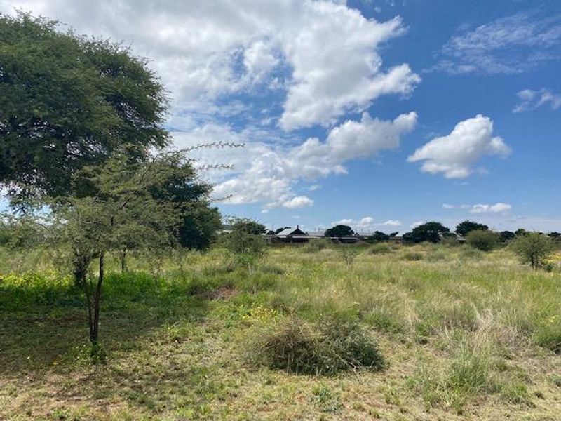 A view of a vacant residential plot featuring natural grass and indigenous trees under a clear blue sky.