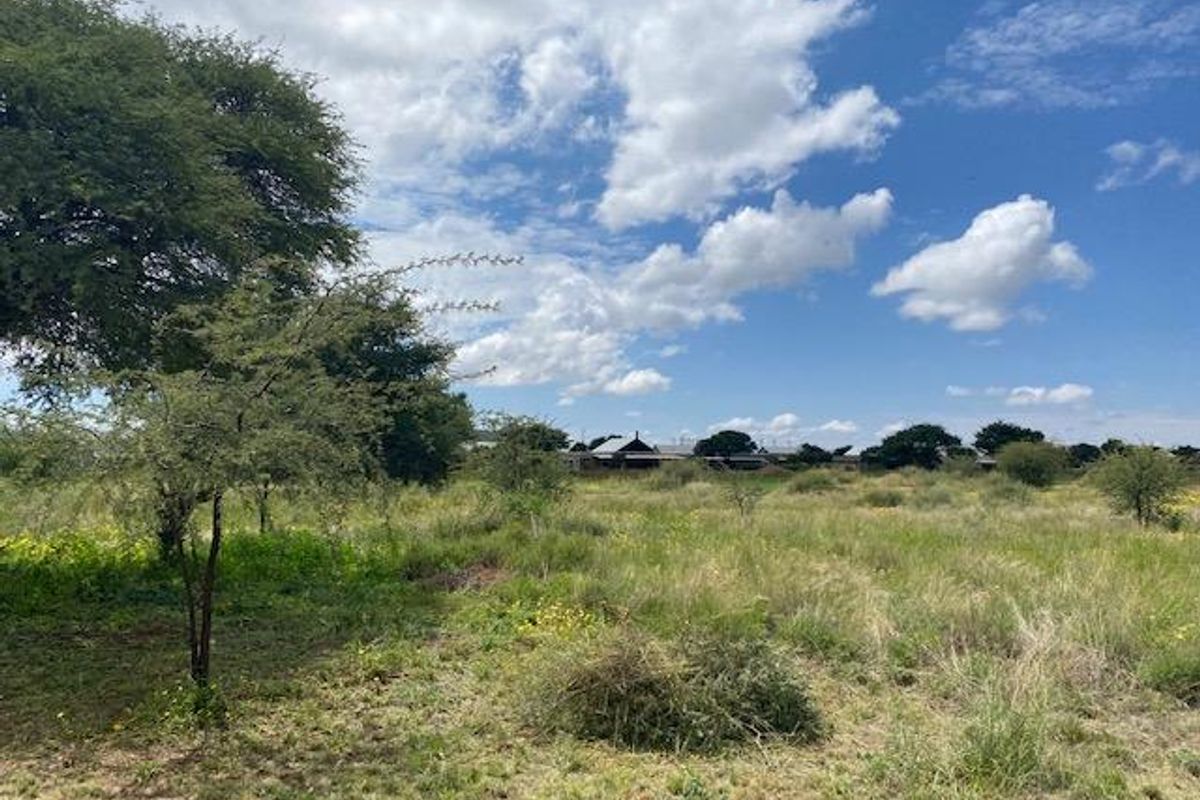 A view of a vacant residential plot featuring natural grass and indigenous trees under a clear blue sky.