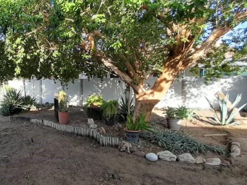 Cheaper living in Okahandja - Photo 4