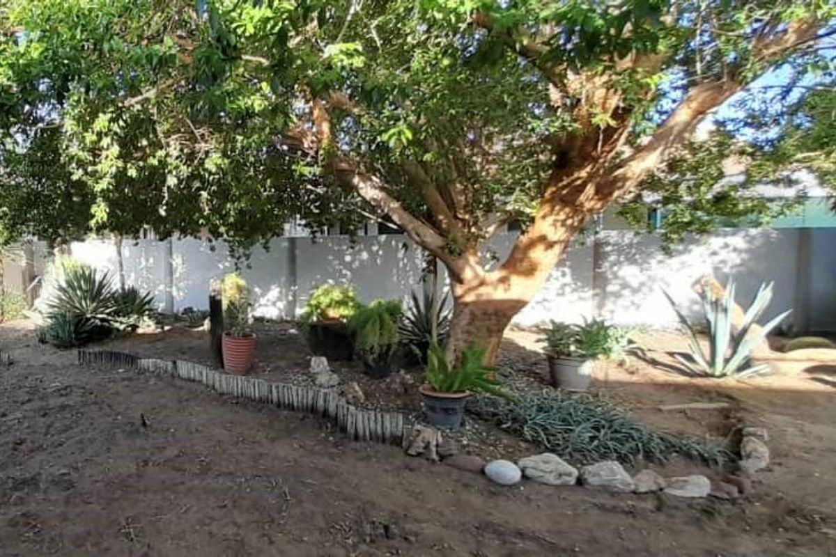 Cheaper living in Okahandja - Photo 4