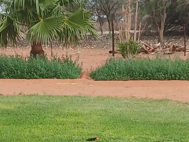 3326HA FARM GOCHAS (FOR SALE) BARGAIN - Photo 8