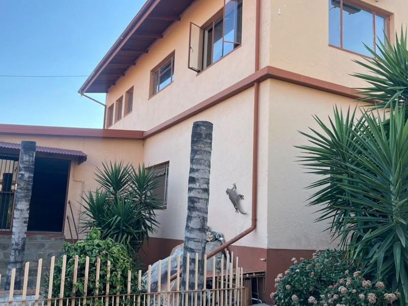 Rear exterior view of a two-story house featuring stucco walls, casement windows, and established garden landscaping.
