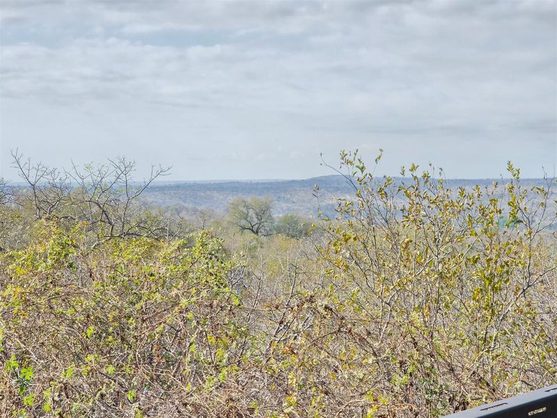 Complete Your Dream Bushveld Retreat in Elephant Rock Eco Estate - Photo 5