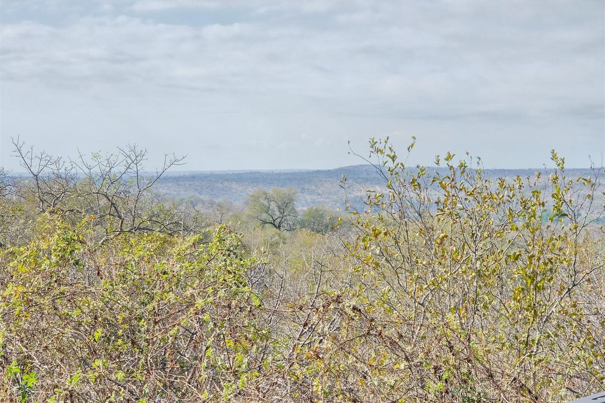 Complete Your Dream Bushveld Retreat in Elephant Rock Eco Estate - Photo 5
